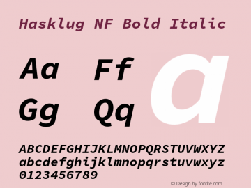 Hasklug Bold Italic Nerd Font Complete Mono Windows Compatible Version 1.0;Nerd Fonts 2.1.0图片样张