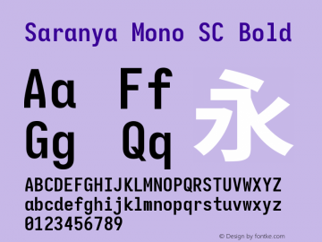 Saranya Mono SC Bold 图片样张