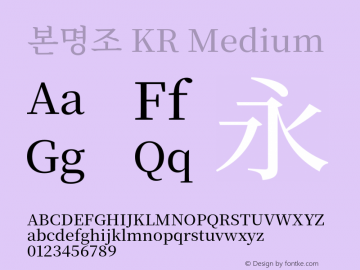 본명조 KR Medium 图片样张