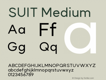 SUIT Medium Version 1.007图片样张