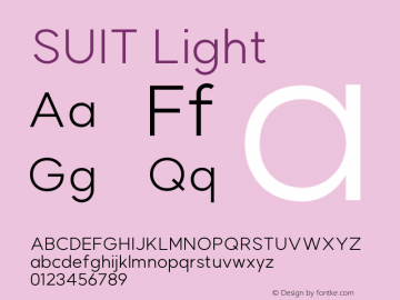 SUIT Light Version 1.008;FEAKit 1.0图片样张
