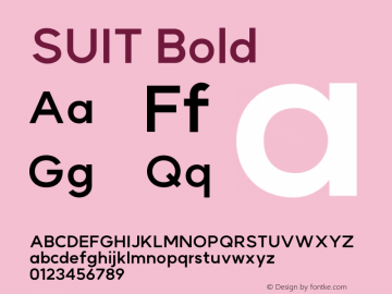 SUIT Bold Version 1.009;FEAKit 1.0图片样张