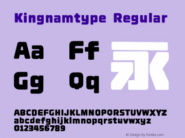 Kingnamtype Version 0.001;February 4, 2021;FontCreator 11.0.0.2407 32-bit图片样张