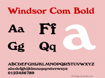 Windsor Com Bold Version 1.01图片样张