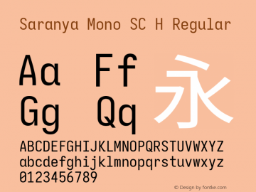 Saranya Mono SC H Regular 图片样张