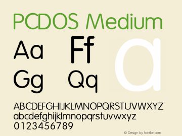 PCDOS Medium 图片样张