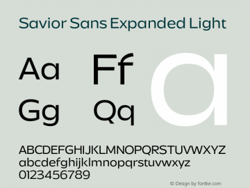Savior Sans Expanded Light Version 1.000;FEAKit 1.0图片样张