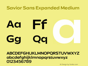 Savior Sans Expanded Medium Version 1.000;FEAKit 1.0图片样张