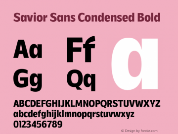 Savior Sans Condensed Bold Version 1.000;FEAKit 1.0图片样张