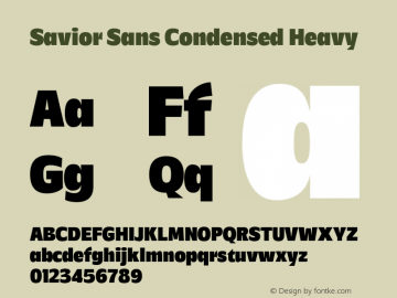Savior Sans Condensed Heavy Version 1.000;FEAKit 1.0图片样张