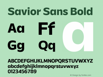 Savior Sans Bold Version 1.000;FEAKit 1.0图片样张