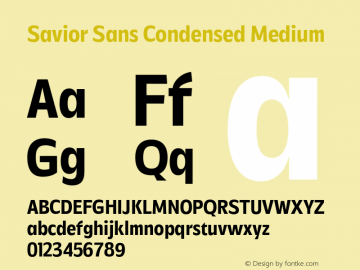 Savior Sans Condensed Medium Version 1.000;FEAKit 1.0图片样张