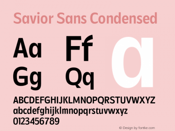 Savior Sans Condensed Version 1.000;FEAKit 1.0图片样张