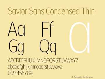 Savior Sans Condensed Thin Version 1.000;FEAKit 1.0图片样张