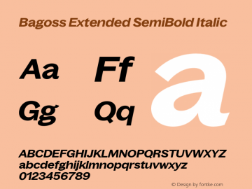 Bagoss Extended SemiBold Italic Version 1.000;FEAKit 1.0图片样张