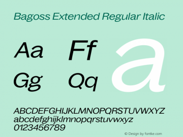 Bagoss Extended Regular Italic Version 1.000;FEAKit 1.0图片样张