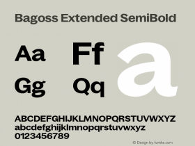 Bagoss Extended SemiBold Version 1.000;FEAKit 1.0图片样张