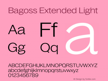 Bagoss Extended Light Version 1.000;FEAKit 1.0图片样张