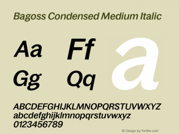 Bagoss Condensed Medium Italic Version 1.000;FEAKit 1.0图片样张