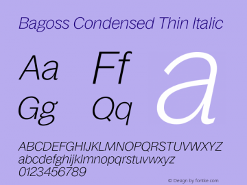 Bagoss Condensed Thin Italic Version 1.000;FEAKit 1.0图片样张