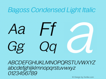 Bagoss Condensed Light Italic Version 1.000;FEAKit 1.0图片样张