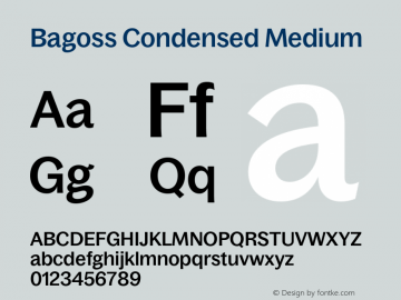 Bagoss Condensed Medium Version 1.000;FEAKit 1.0图片样张