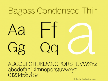 Bagoss Condensed Thin Version 1.000 | FoM Mod图片样张