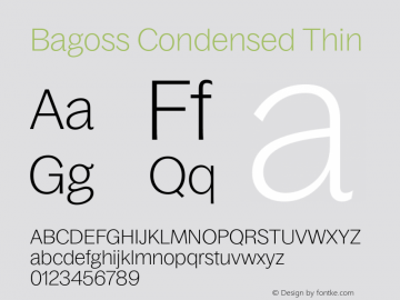 Bagoss Condensed Thin Version 1.000;FEAKit 1.0图片样张