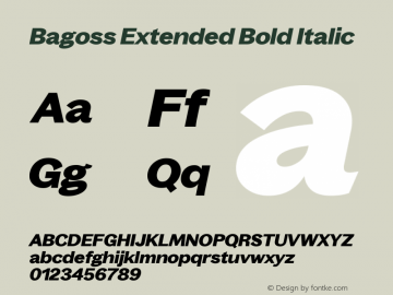 Bagoss Extended Bold Italic Version 1.000图片样张