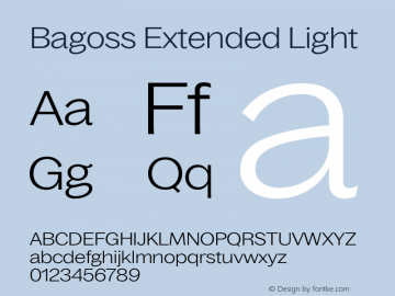Bagoss Extended Light Version 1.000图片样张