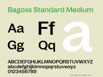 Bagoss Standard Medium Version 1.000图片样张