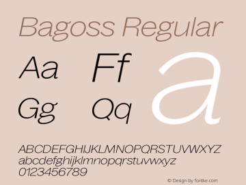 Bagoss Regular Version 1.000;FEAKit 1.0图片样张