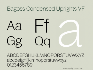 Bagoss Condensed Uprights VF Version 1.000 | FøM Fix图片样张