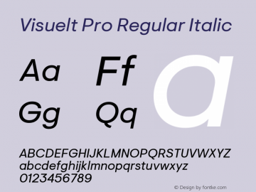 Visuelt Pro Italic Version 3.006 | FøM Fix图片样张
