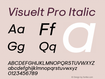 Visuelt Pro Italic Version 3.006图片样张