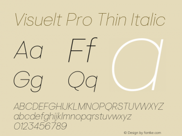 Visuelt Pro Thin Italic Version 3.006图片样张