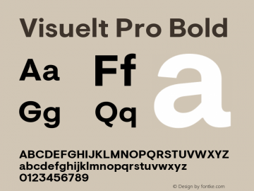 Visuelt Pro Bold Version 3.006 | FøM Fix图片样张