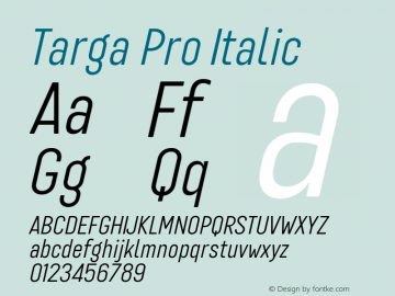 Targa Pro Italic Version 3.003图片样张