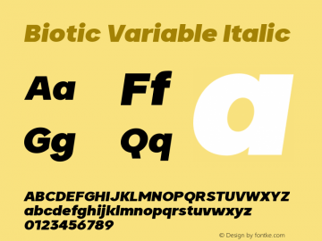 Biotic Variable Italic Version 2.000;FEAKit 1.0图片样张