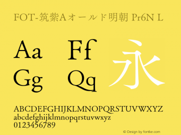 FOT-筑紫Aオールド明朝 Pr6N L 图片样张