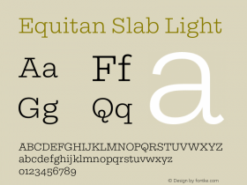Equitan Slab Light Version 1.100图片样张
