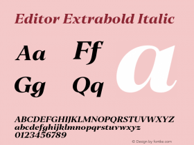 Editor Extrabold Italic Bold Italic Version 1.100;PS 1.100;hotconv 1.0.88;makeotf.lib2.5.647800图片样张