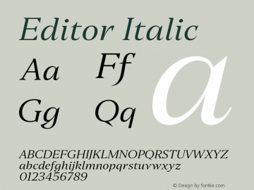 Editor Italic Italic Version 0.000;PS 0.0;hotconv 1.0.88;makeotf.lib2.5.647800图片样张