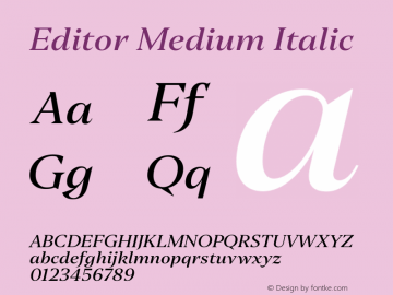 Editor Medium Italic Version 0.000;PS 0.0;hotconv 1.0.88;makeotf.lib2.5.647800图片样张