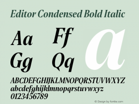 Editor Condensed Bold Italic Version 1.100;PS 001.100;hotconv 1.0.88;makeotf.lib2.5.64775图片样张