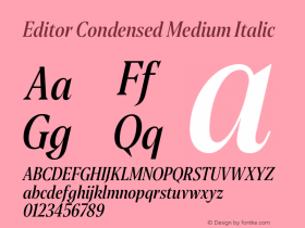 Editor Condensed Medium Italic Version 1.100;PS 001.100;hotconv 1.0.88;makeotf.lib2.5.64775图片样张