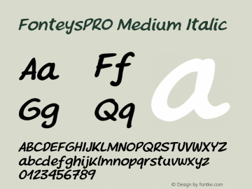 FonteysPRO Medium Italic Version 1.200;FEAKit 1.0图片样张