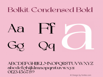 Bolkit Condensed Bold Version 1.000图片样张