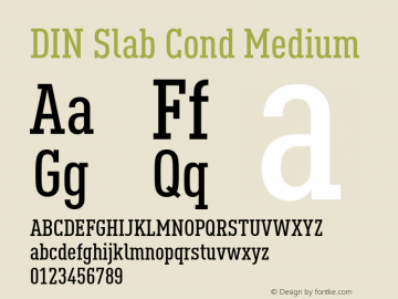DIN Slab Cond Medium Version 1.00图片样张