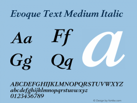 Evoque Text Medium Italic Version 1.100;FEAKit 1.0图片样张